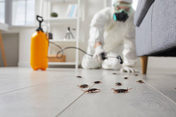 Commercial Kitchen Cockroach Control in Prospect Park